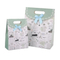 Paper Bag Gift Bags