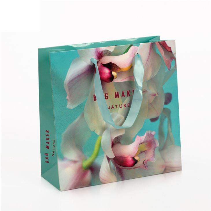 Gift Bags with Logo