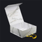 Gift Box Packaging With Ribbon