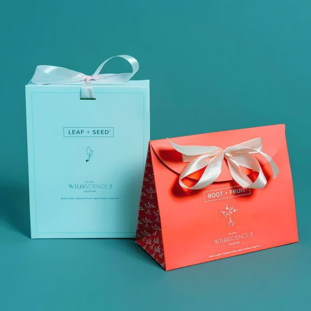 Paper Bag Gift Bags