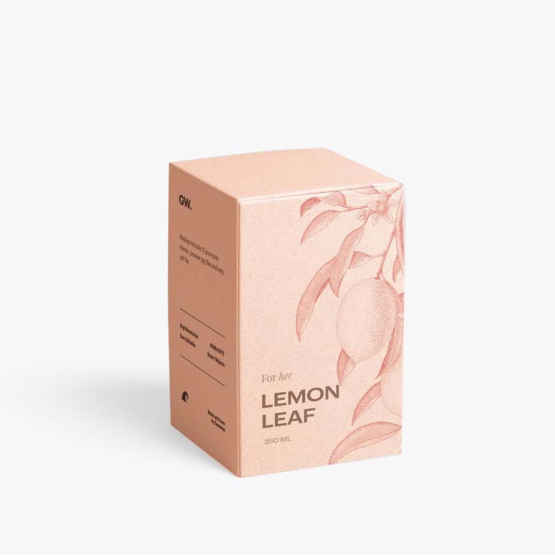 White Cardboard Box