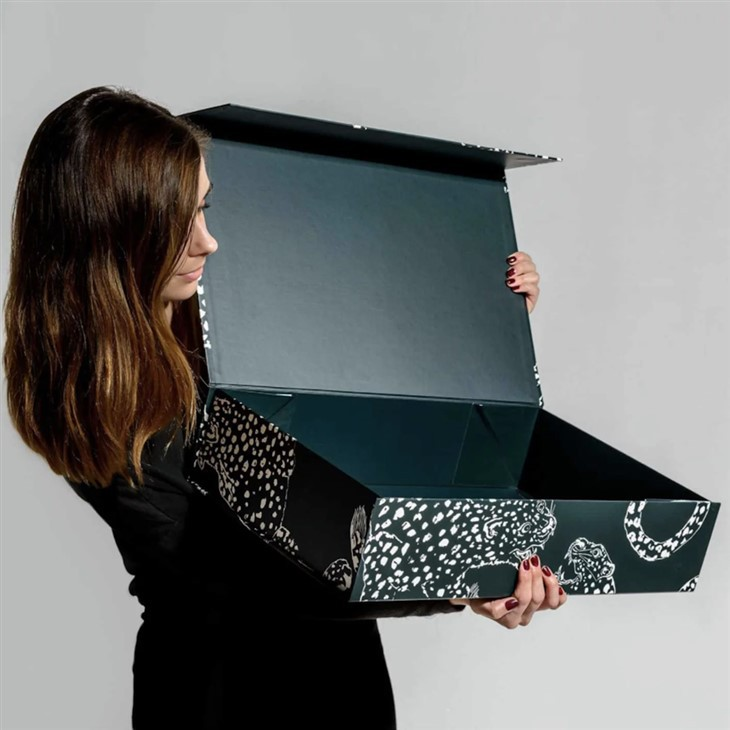 Large Cardboard Magnetic Box Packaging