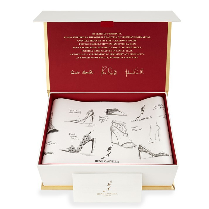 box for shoes 6