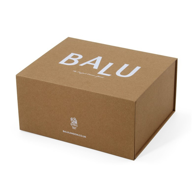 cardboard brown box 1