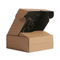 Shoes Paper Packaging Cardboard Shipping Boxes