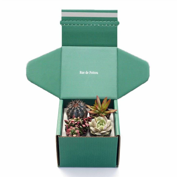 Live Plant Shipping Boxes