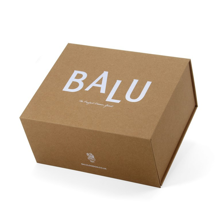 cardboard brown box 3