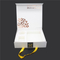 Gift Box Packaging With Handle Insert
