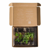 Live Plant Shipping Boxes