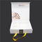 Gift Box With Ribbon Handle