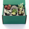 Live Plant Shipping Boxes