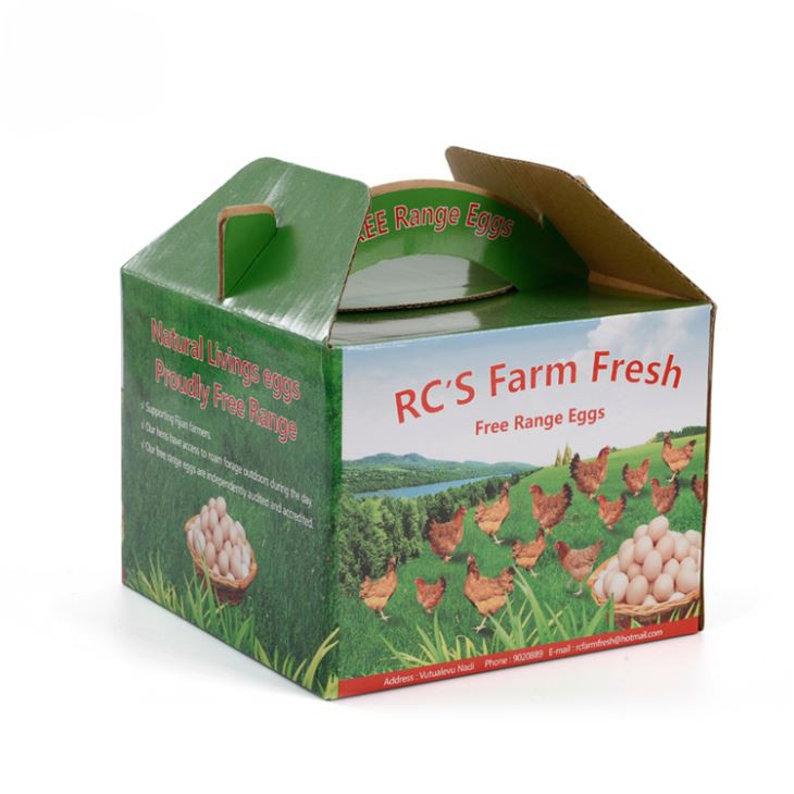 Paper and Cardboard Packaging
