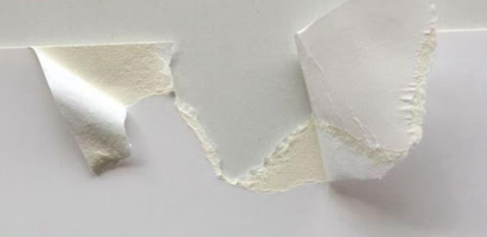 FBB paperboard.png