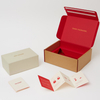 Custom Kraft Peel‑and‑Seal Mailer Box with Printed Red Interior for Handbag Packaging